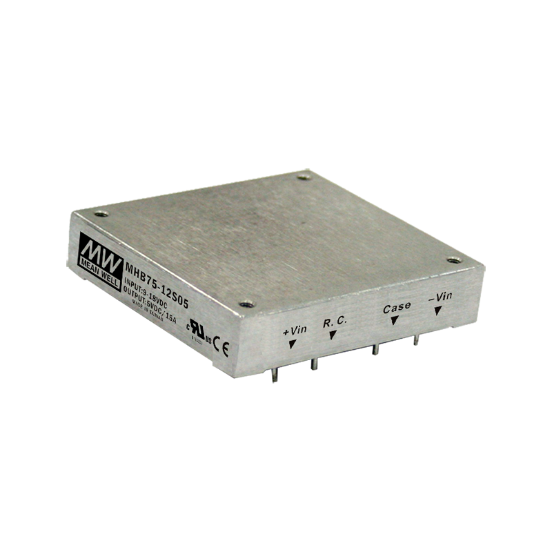 DETN01-N MEAN WELL